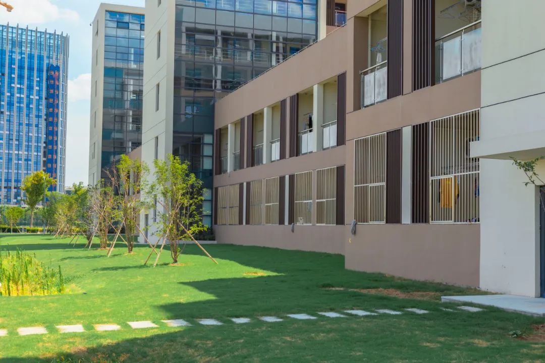 IMG_4028-42.jpg 圖片